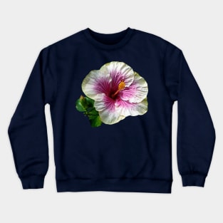 Hibiscus - Hibiscus Candy Striper Crewneck Sweatshirt